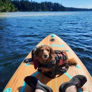 Meet your Posher, Karen